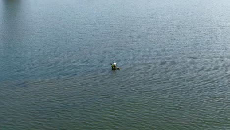 Lonely-laughing-gull-sitting-in-middle-of-lake-water,-aerial-orbit-view