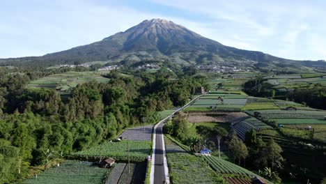 Aerial-view-of-beautiful-tropical-landscape-with-view-of-a-road-in-straight-through-to-the-mountain