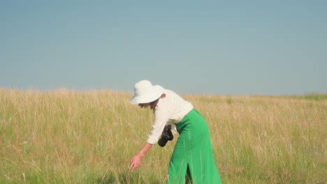 female photographer in white blouse, green trousers, and wide hat bends forward to touch barley stalks in sunlit grassy field, holding camera in hand under clear blue summer sky