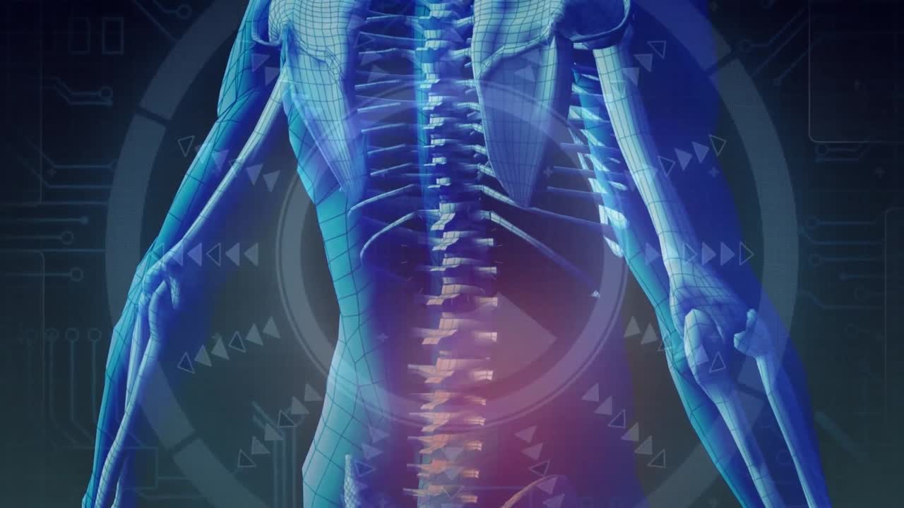 인간 몸 위의 스 스캔의 애니메이션