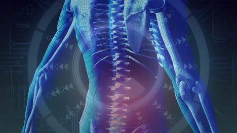 animación de escaneo de alcance sobre el cuerpo humano