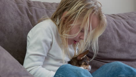 girl playing with her cute chihuahua puppy on the sofa