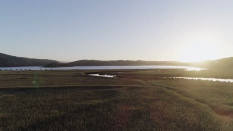 Animation-of-movement-in-slow-motion-across-an-open-country-landscape-with-a-river