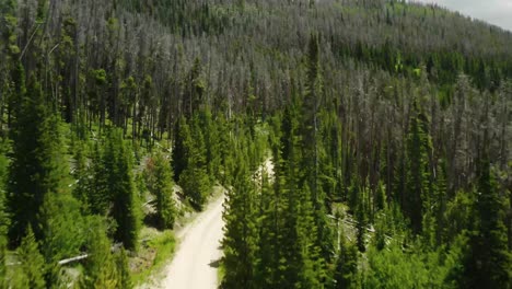 4k-drone-footage-trailing-professional-cyclists-and-slowly-passing-over-top-of-them-as-they-are-surrounded-by-pine-trees