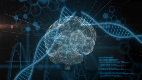 animation of scientific data processing over human brain and dna strands on dark background