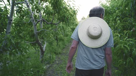 local anonymous farmer walking in green garden with trees