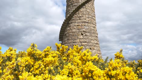 temporada de otoño florecen flores en ballycorus leadmines kilternan dublín