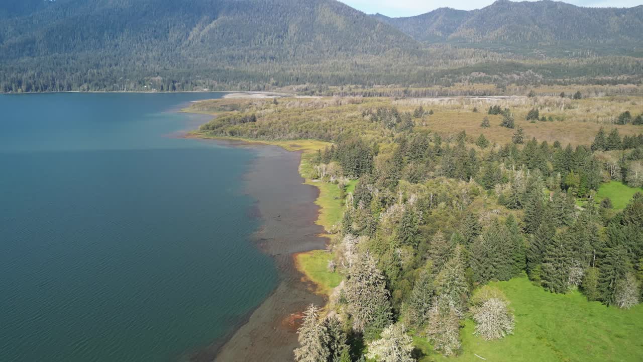Aerial drone shot gliding over a forested shoreline and clear blue lake with distant mountains under sunny skies