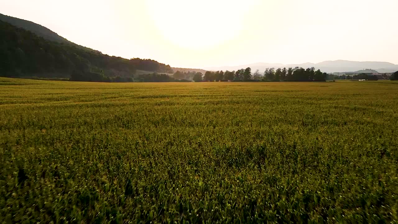 video aéreo de drones sobre el campo de trigo junto a la colina al atardecer en europa