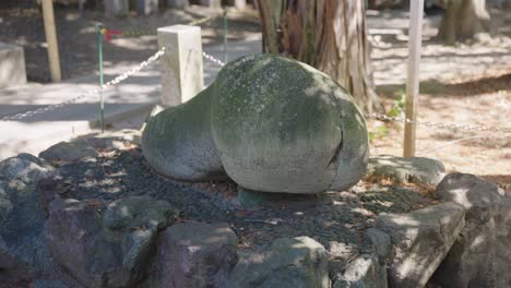 penis shaped rock at famous fertility tagata shrine, komaki japan