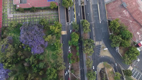 overhead view of southern cdmx avenues
