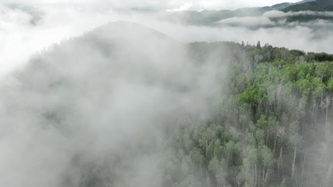 aerial of low fog hanging over mountain and forest trees-9