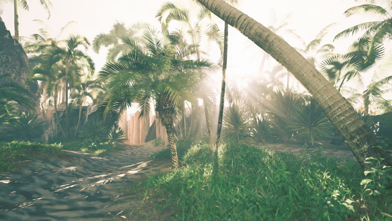Lush tropical landscape with sunlight filtering through palm trees