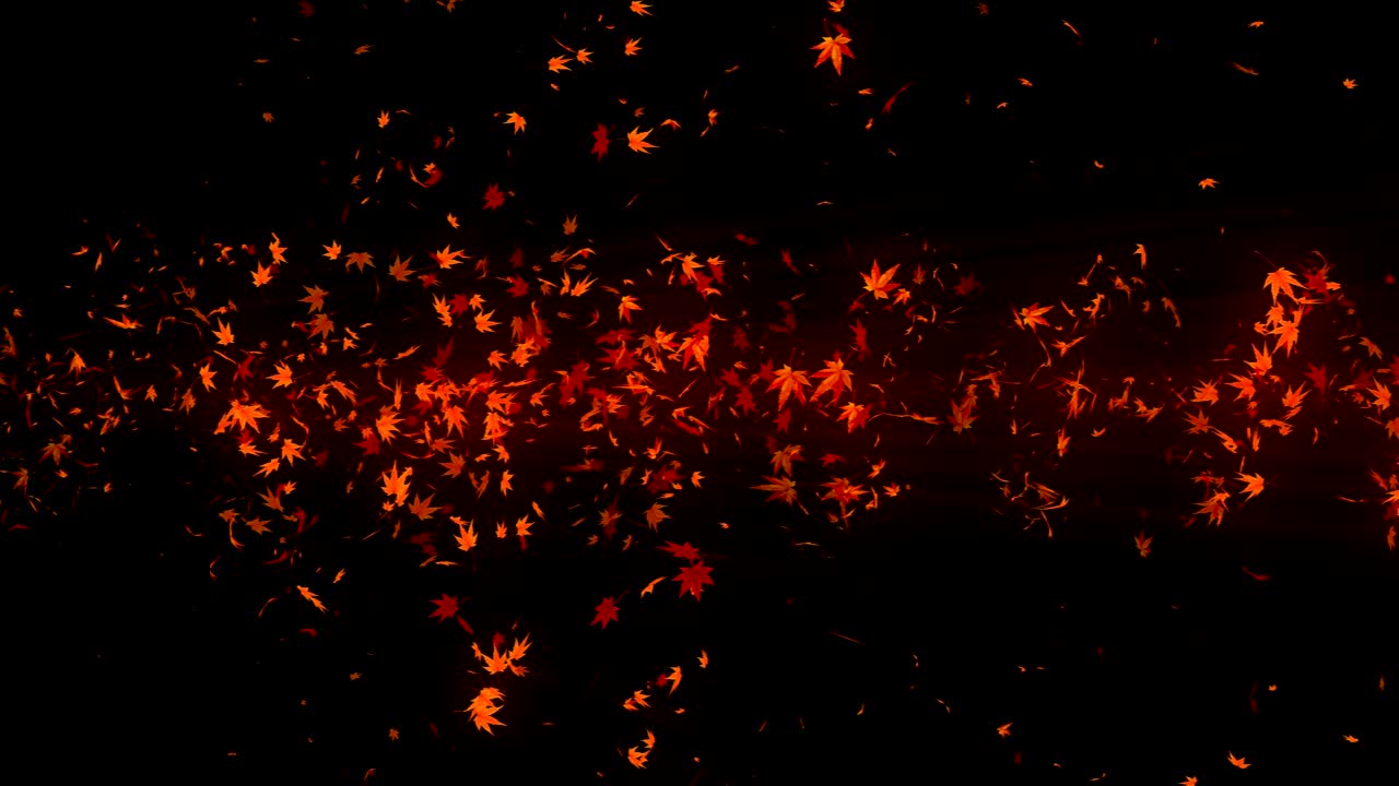 다채로운 메이플과 잎에서 나온 소용돌이, 가을 잎의 나선형 반이는 입자, 춤추는 잎, 다채로운 자연 터널 루프 애니메이션.