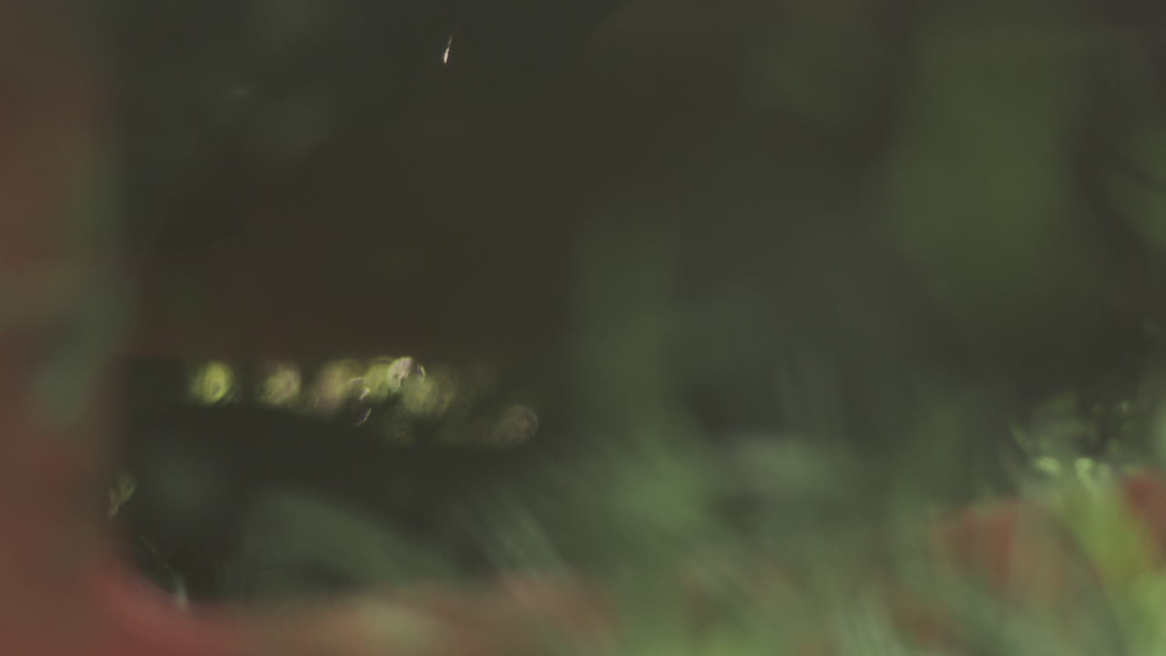 흐릿한 녹색 잎자루 배경