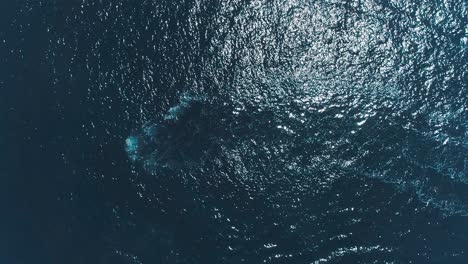 Stunning top down Aerial Drone Footage Of Clear Sea Ocean Water With Small ripples, sun reflection and caustic waves. Dark Blue  soft wave sea in deep calm flat water.