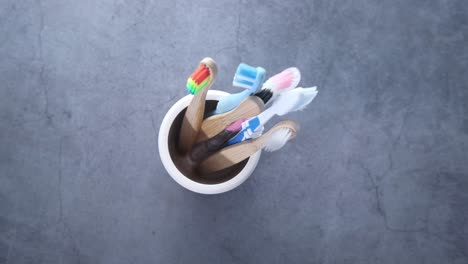 toothbrushes in a holder