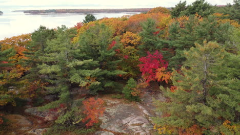 drone moving over the beautiful fall colors forest in the provincial park towards the bay, season ontario canada