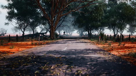 a long and lonely road through the australian outback