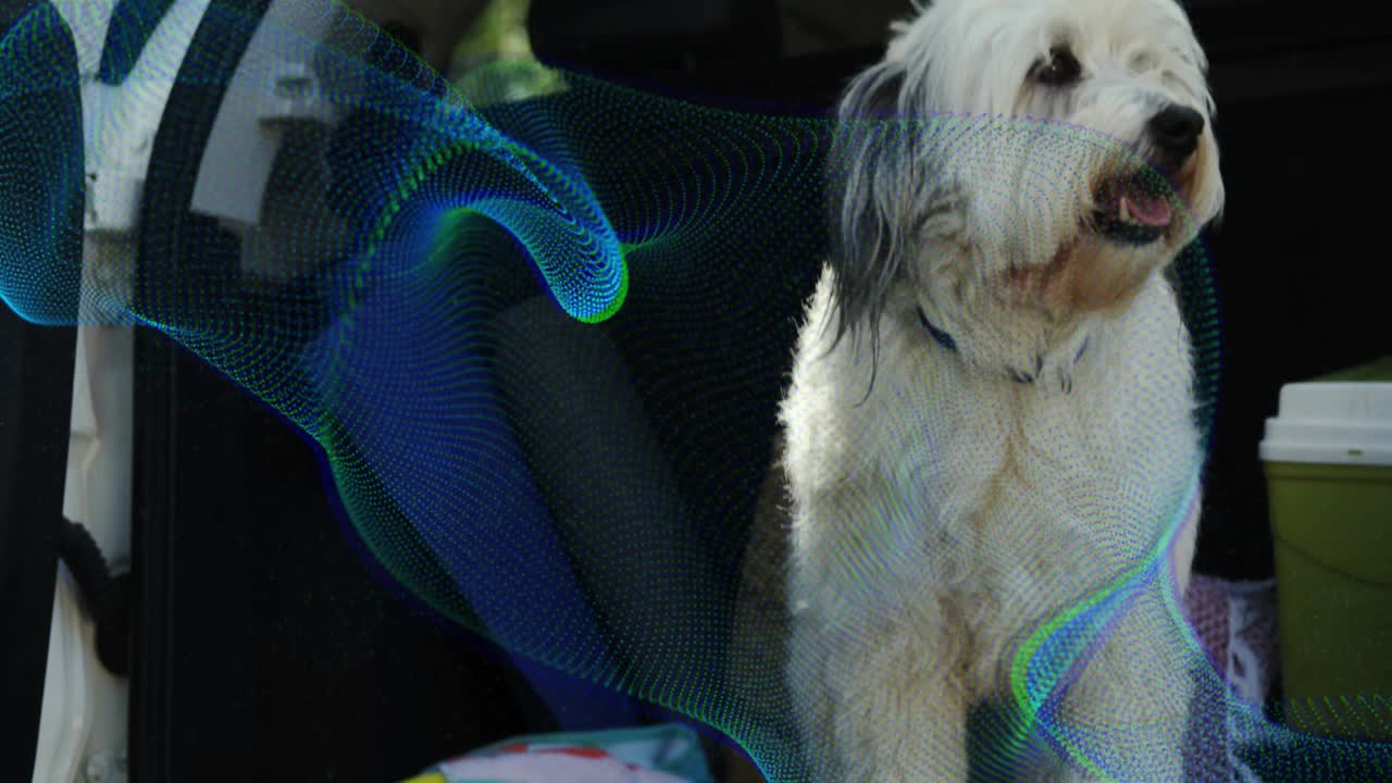 Digital wave flowing over shaggy dog in SUV trunk following outside movement, visualizing data flow
