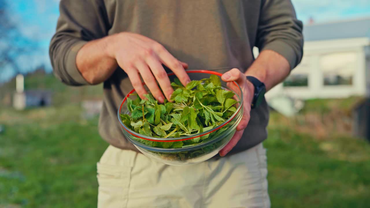 Cropped View Of A Man Holding A Glass Bowl Full Of Organic Herb Leaves. Close-up Shot