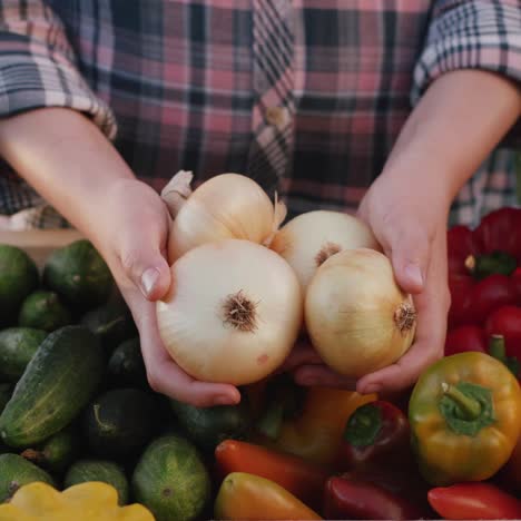 las manos del granjero sostienen bulbos de cebolla sobre el mostrador de verduras 1