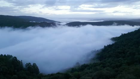 low light aerial view of sil canyon covered by dense fog, galicia, spain