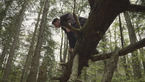 caucasian male jumping from a dead fallen tree and landing on his feet in the forest