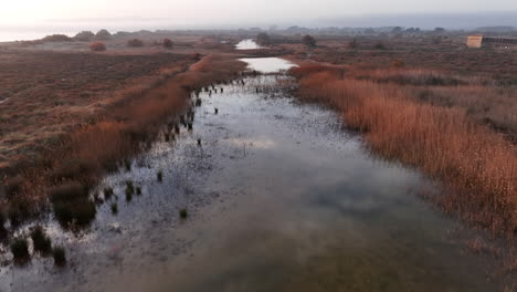 Aerial-view-flying-across-blue-sky-mirror-reflections-in-colourful-autumn-marshland-pools