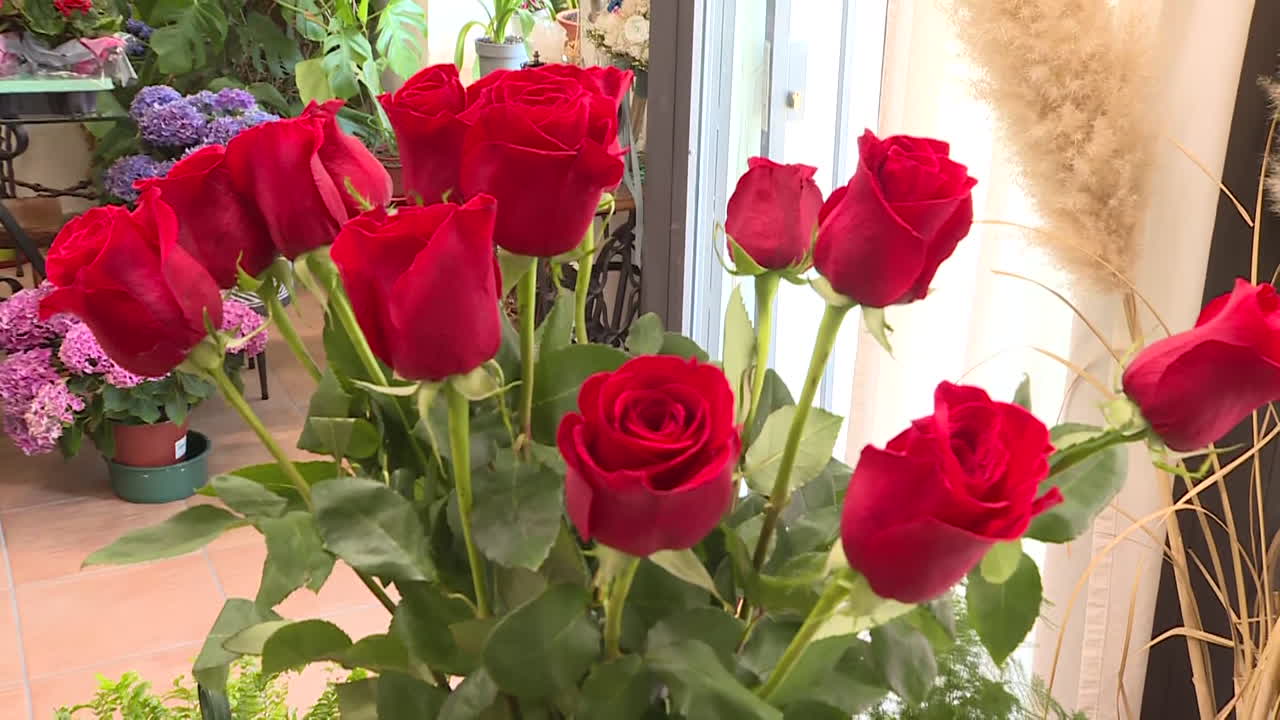 un ramo de rosas rojas