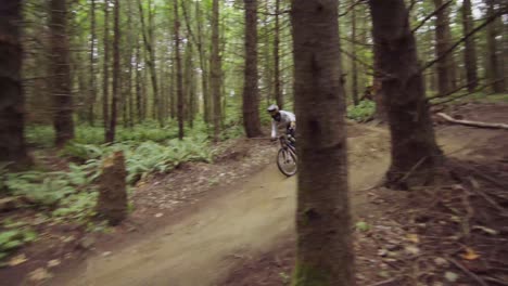 biker jumping over natural dirt feature amidst pine tree forest, fast pan left