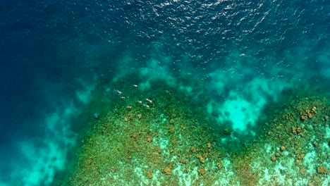 Snorkeling-Group-in-the-Beautiful-Reefs-of-the-Maldives