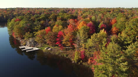 Toma-Aérea-De-Drones-Descendiendo-A-Lo-Largo-De-La-Orilla-De-Un-Río-Rodeado-Por-Los-Hermosos-Colores-Otoñales-A-Medida-Que-Los-árboles-Del-Bosque-Cambian-Durante-La-Temporada-De-Otoño,-Canadá