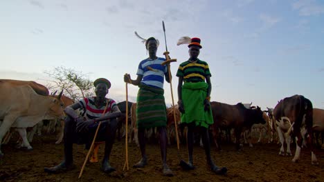 karamojong men surrounded by their cows on a field in uganda, africa - close up