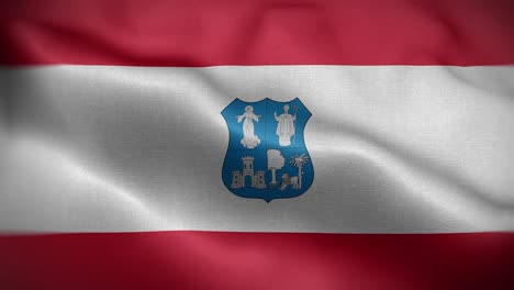 assuncion paraguay flag loop background 4k