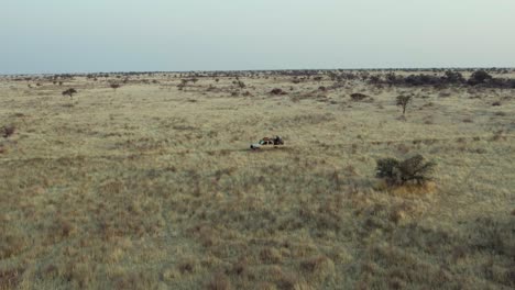 paisaje desolado de namibia con vehículo de safari itinerante en parques naturales de sudáfrica