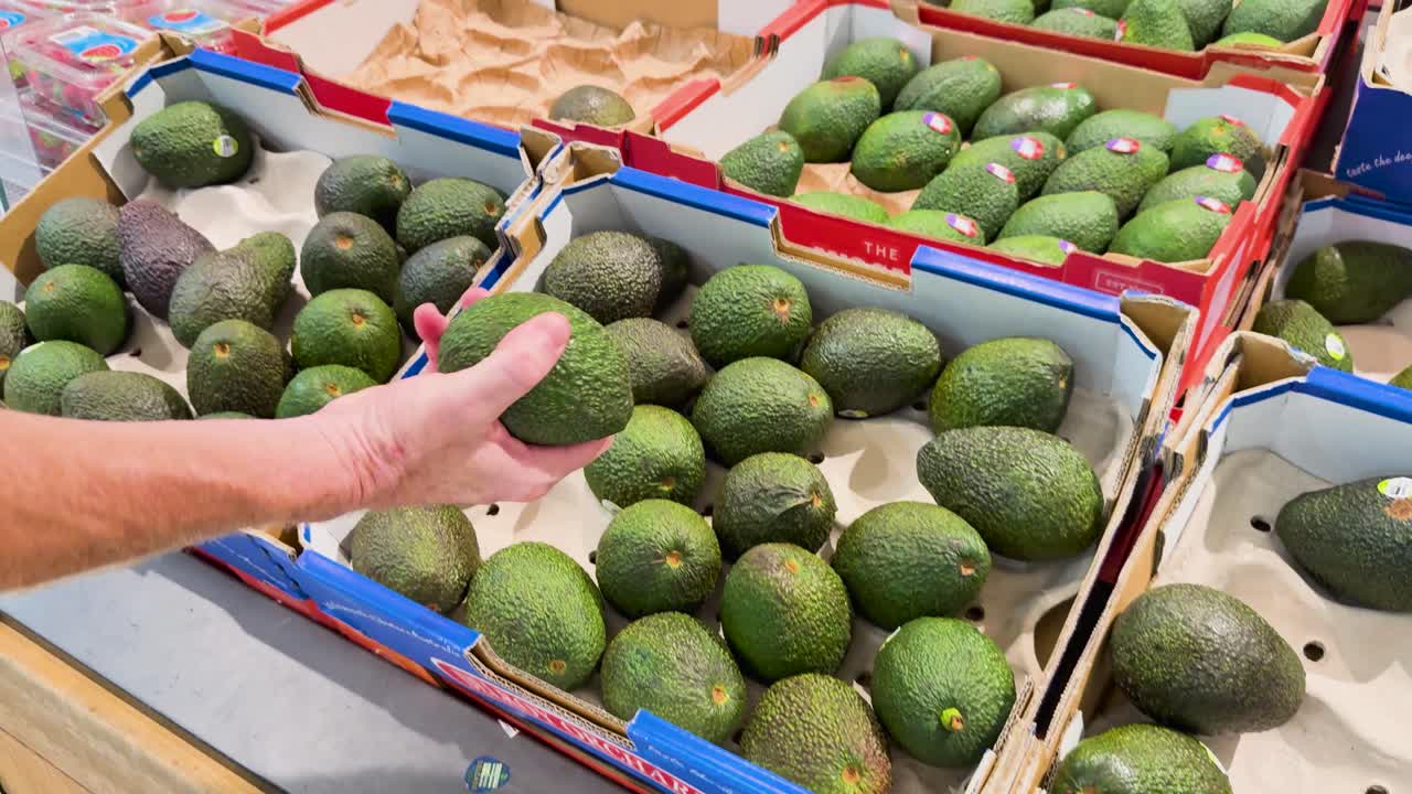 persona seleccionando aguacates por el tacto y la sensación