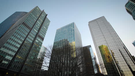 towering skyscrapers and office buildings downtown