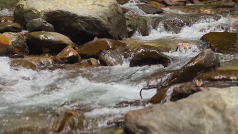 Material-Grabado-En-Rollo-De-Un-Río-Corriendo-En-La-Naturaleza