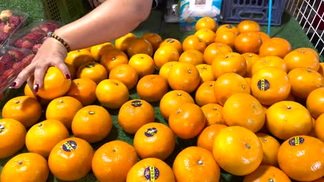 Hand picking oranges at a vibrant market