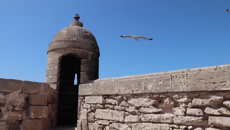 essaouira 的港口和 scala du port,一個由 genoese 建造的城堡