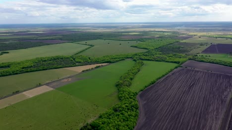 Wide-aerial-pull-out-of-green-forest-and-farmland-in-rural-Argentina