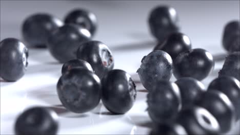 blueberries rolling down on white background. slow motion