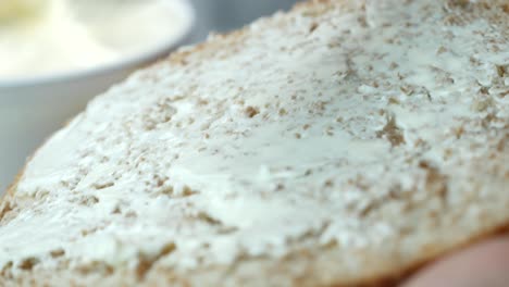 low fact cheese cream in a container on table