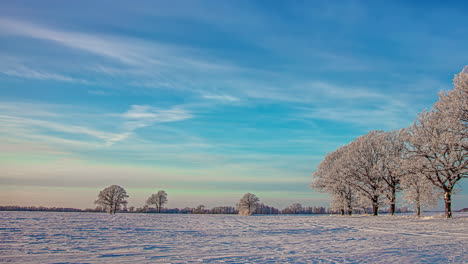 Snowy-Winter-in-a-meadow-forest-or-field