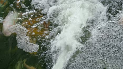 a close-up view showcasing the lively bubbling water flow in a serene natural setting