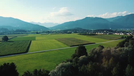 alpine valley landscape with farmland