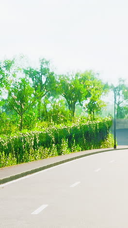 scenic road through lush green landscape