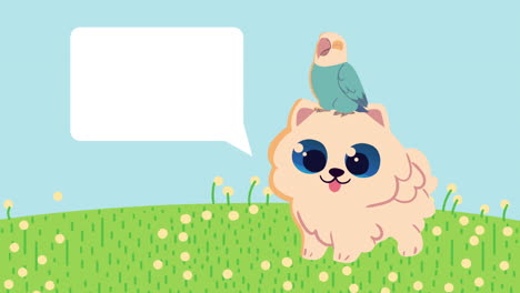 cão bonito com animação de papagaio