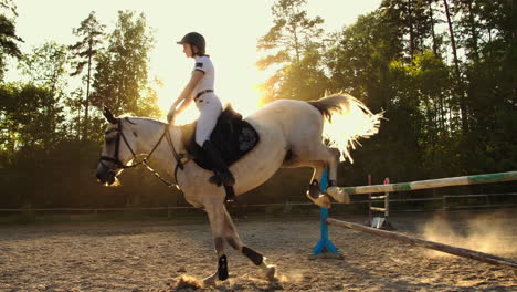 la mujer a caballo demuestra habilidades en saltar con su caballo sobre un obstáculo.